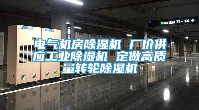 電氣機房榴莲视频官网APP 廠價供應工業榴莲视频官网APP 定做高質量轉輪榴莲视频官网APP