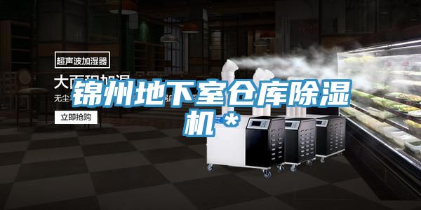 錦州地下室倉庫榴莲视频官网APP＊