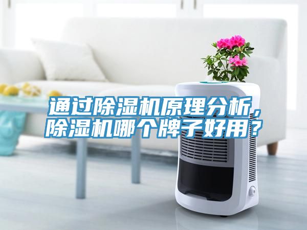 通過榴莲视频官网APP原理分析，榴莲视频官网APP哪個牌子好用？