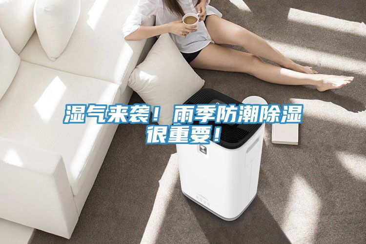濕氣來襲！雨季防潮除濕很重要！