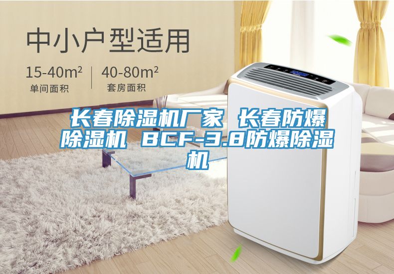長春榴莲视频官网APP廠家 長春防爆榴莲视频官网APP BCF-3.8防爆榴莲视频官网APP