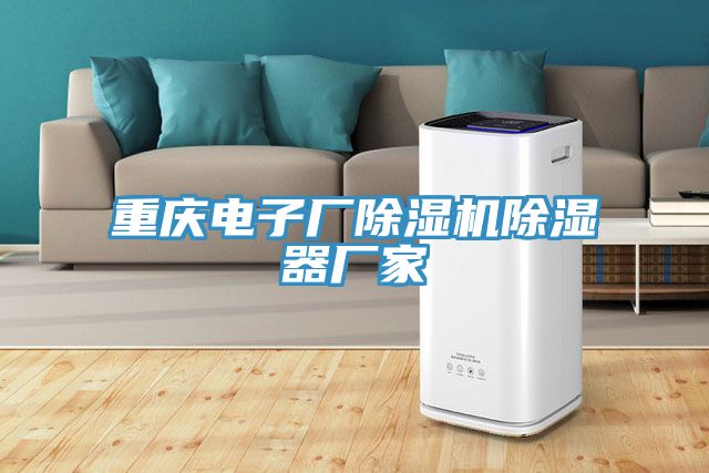 重慶電子廠榴莲视频官网APP除濕器廠家