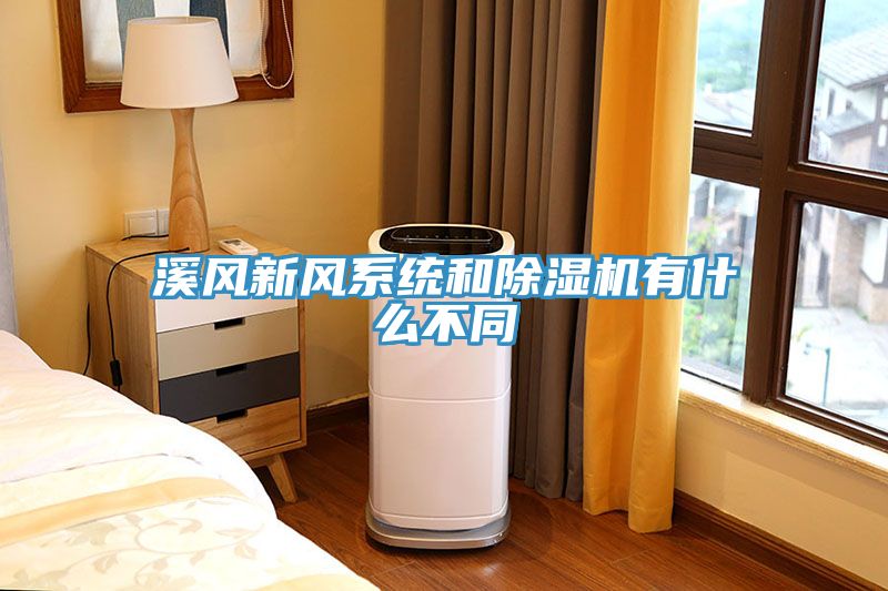 溪風新風係統和榴莲视频官网APP有什麽不同