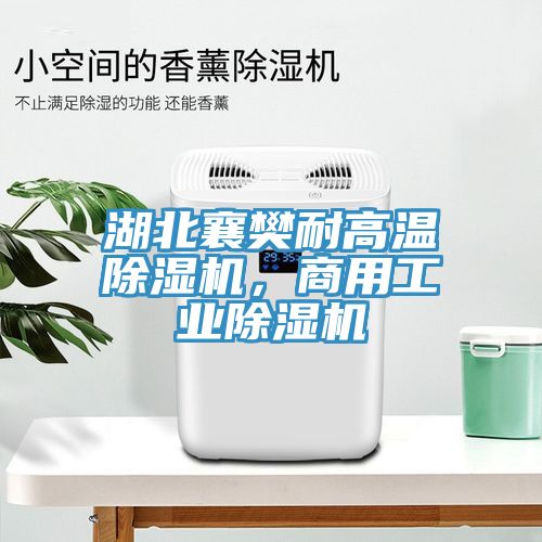 湖北襄樊耐高溫榴莲视频官网APP，商用工業榴莲视频官网APP
