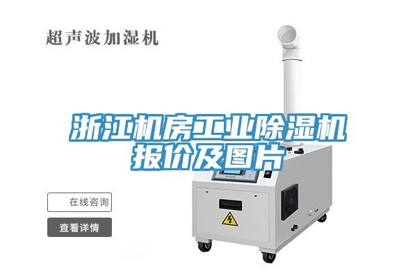 浙江機房工業榴莲视频官网APP報價及圖片