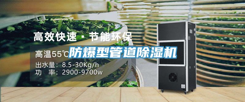 防爆型管道榴莲视频官网APP
