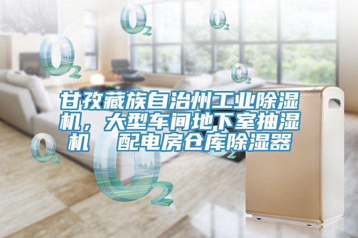 甘孜藏族自治州工業榴莲视频官网APP，大型車間地下室抽濕機  配電房倉庫除濕器
