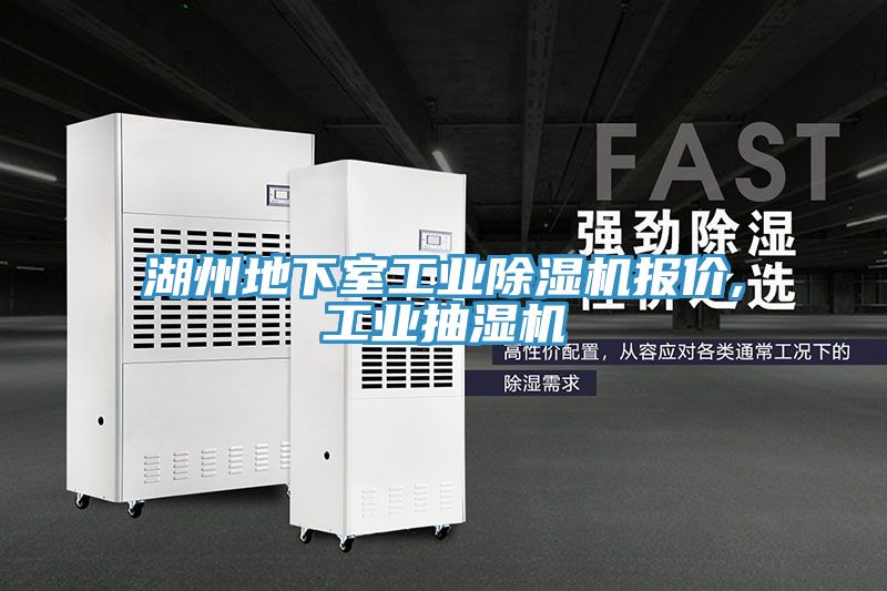 湖州地下室工業榴莲视频官网APP報價,工業抽濕機