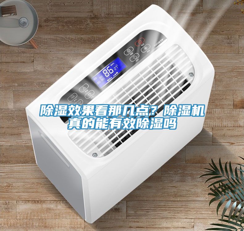 除濕效果看那幾點？榴莲视频官网APP真的能有效除濕嗎