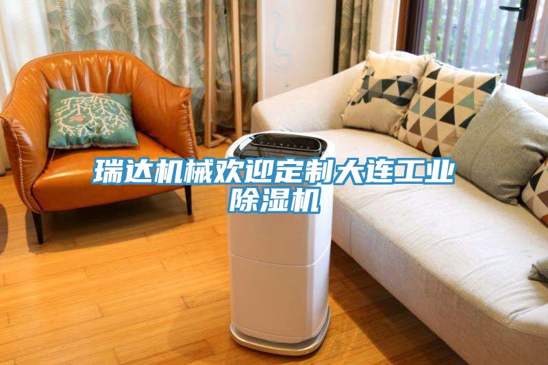 瑞達機械歡迎定製大連工業榴莲视频官网APP
