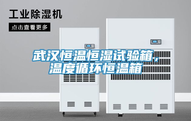 武漢恒溫恒濕試驗箱，溫度循環恒溫箱