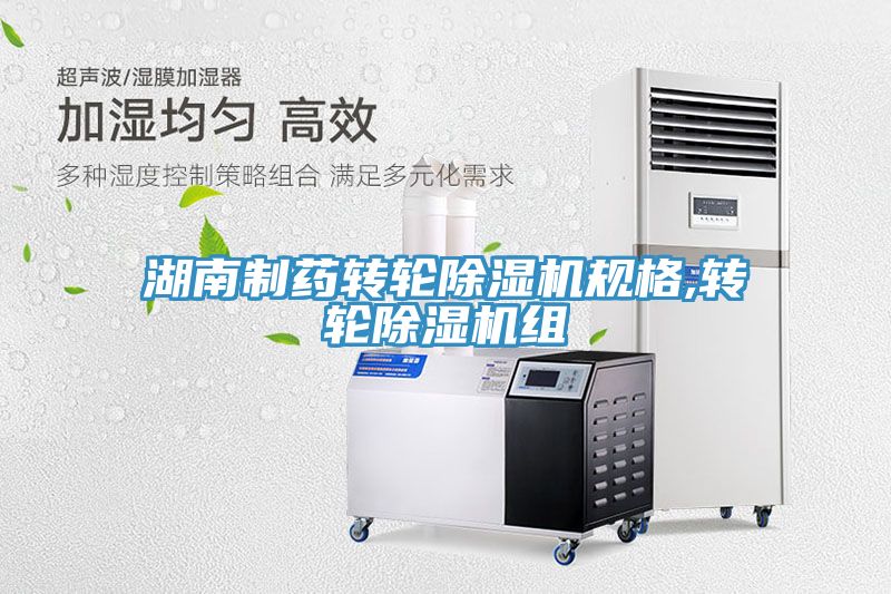 湖南製藥轉輪榴莲视频官网APP規格,轉輪榴莲视频官网APP組