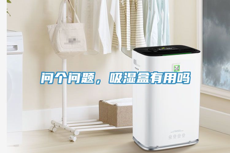 問個問題，吸濕盒有用嗎