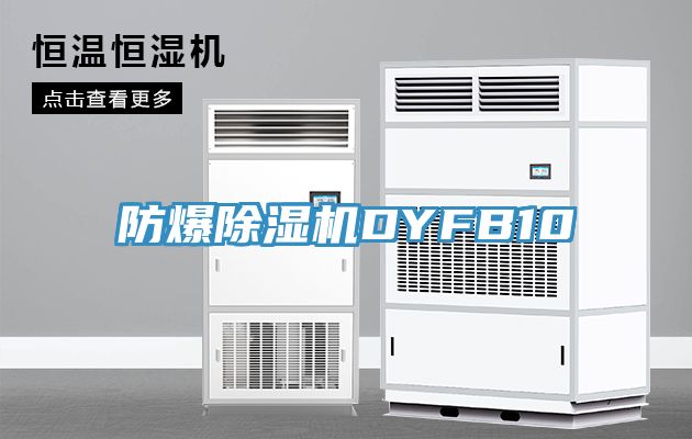 防爆榴莲视频官网APPDYFB10