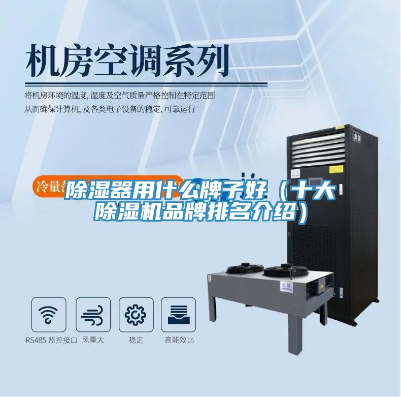 除濕器用什麽牌子好（十大榴莲视频官网APP品牌排名介紹）