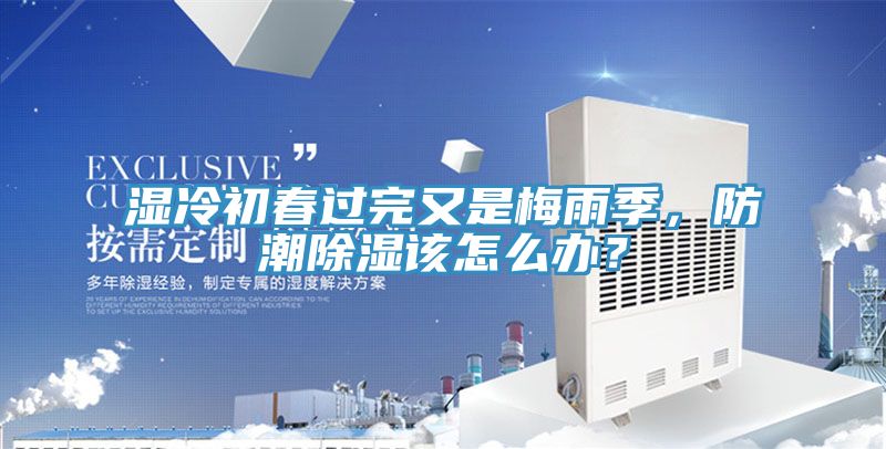 濕冷初春過完又是梅雨季，防潮除濕該怎麽辦？