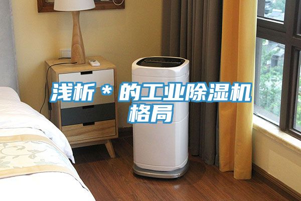淺析＊的工業榴莲视频官网APP格局