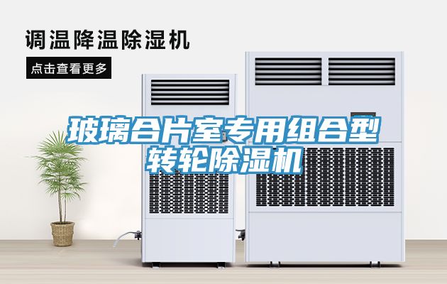玻璃合片室專用組合型轉輪榴莲视频官网APP
