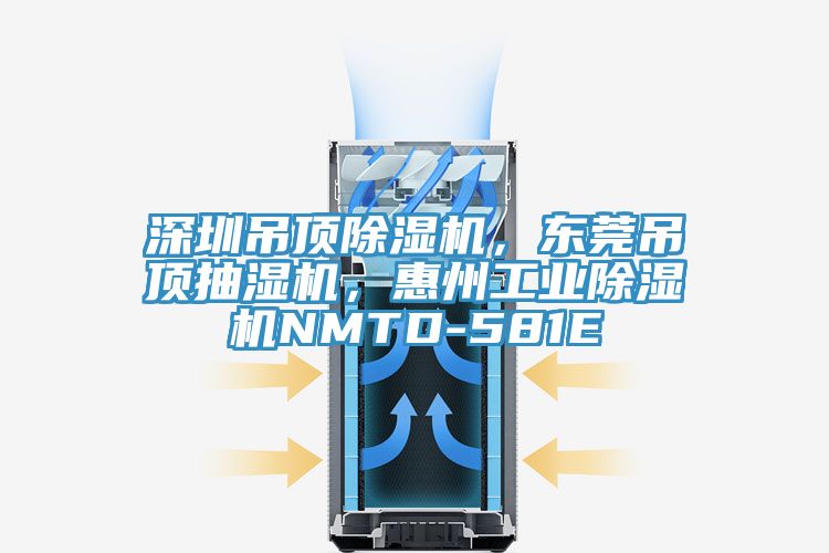 深圳吊頂榴莲视频官网APP，東莞吊頂抽濕機，惠州工業榴莲视频官网APPNMTD-581E