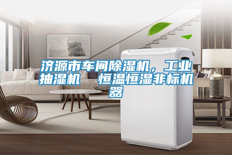 濟源市車間榴莲视频官网APP，工業抽濕機  恒溫恒濕非標機器