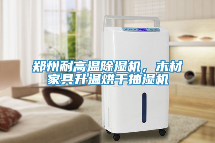 鄭州耐高溫榴莲视频官网APP，木材家具升溫烘幹抽濕機