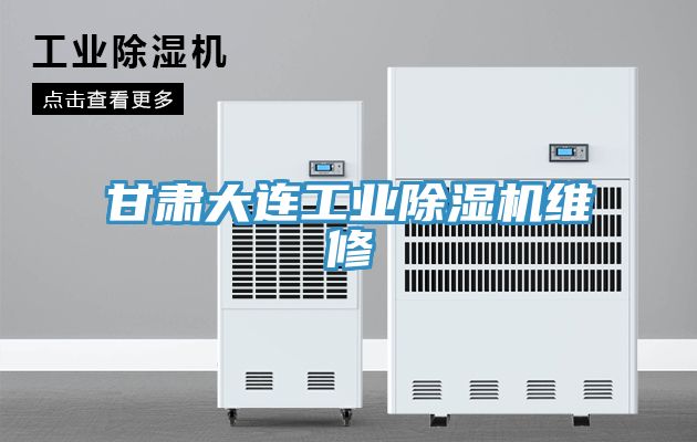 甘肅大連工業榴莲视频官网APP維修