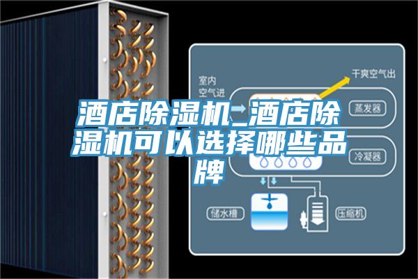 酒店榴莲视频官网APP_酒店榴莲视频官网APP可以選擇哪些品牌