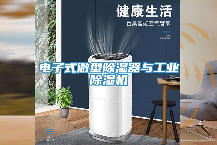 電子式微型除濕器與工業榴莲视频官网APP