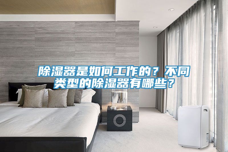 除濕器是如何工作的？不同類型的除濕器有哪些？