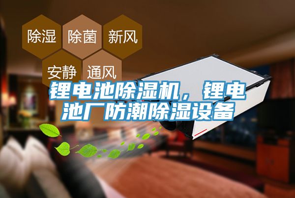 鋰電池榴莲视频官网APP，鋰電池廠防潮除濕設備