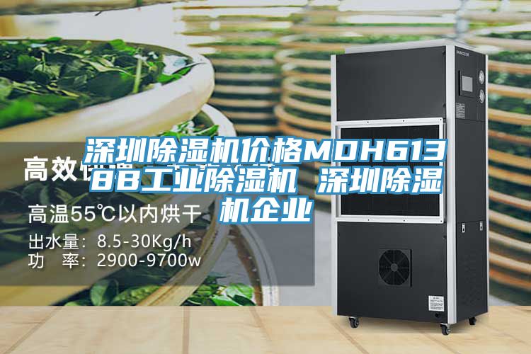深圳榴莲视频官网APP價格MDH6138B工業榴莲视频官网APP 深圳榴莲视频官网APP企業