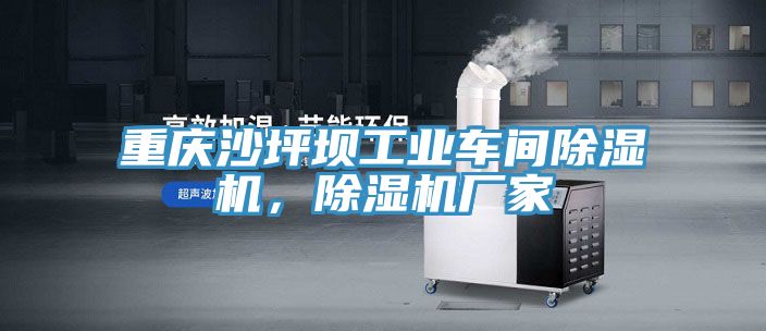 重慶沙坪壩工業車間榴莲视频官网APP，榴莲视频官网APP廠家