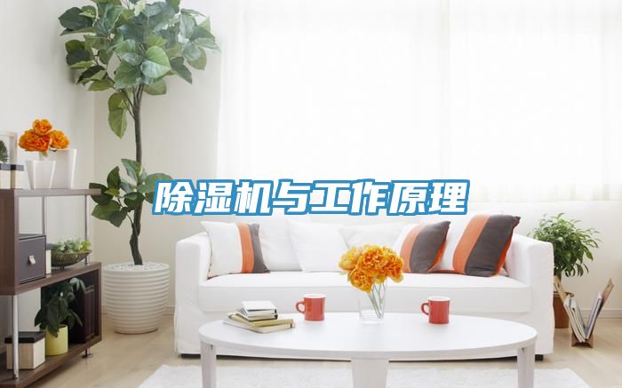 榴莲视频官网APP與工作原理