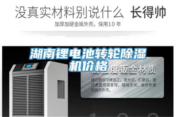 湖南鋰電池轉輪榴莲视频官网APP價格