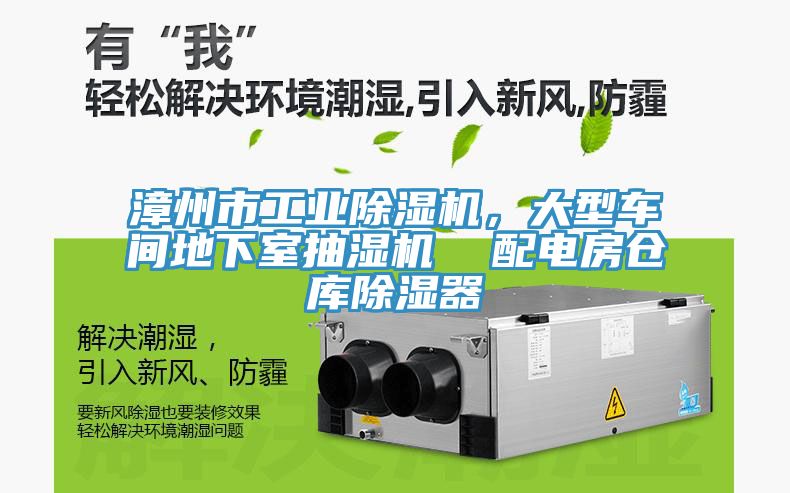 漳州市工業榴莲视频官网APP，大型車間地下室抽濕機  配電房倉庫除濕器