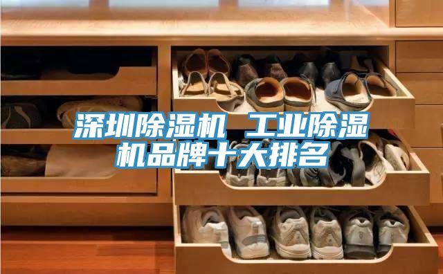 深圳榴莲视频官网APP 工業榴莲视频官网APP品牌十大排名