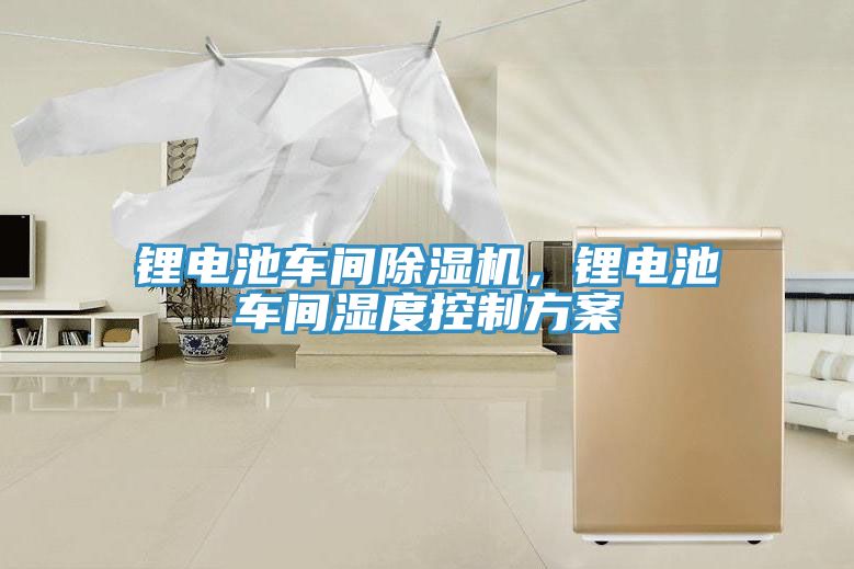 鋰電池車間榴莲视频官网APP，鋰電池車間濕度控製方案