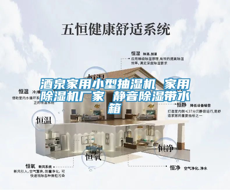 酒泉家用小型抽濕機 家用榴莲视频官网APP廠家 靜音除濕帶水箱