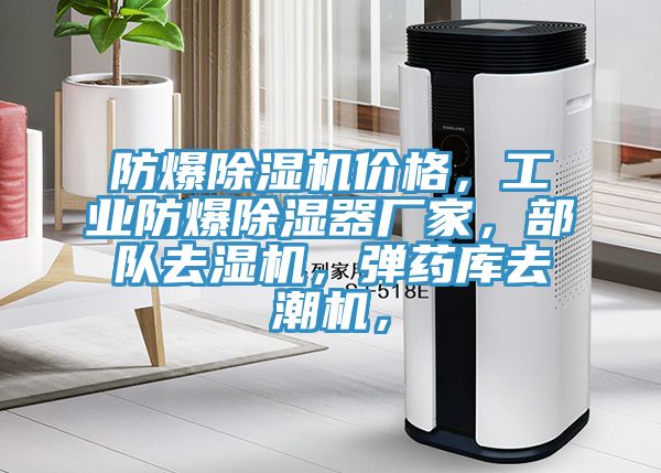 防爆榴莲视频官网APP價格，工業防爆除濕器廠家，部隊去濕機，彈藥庫去潮機，