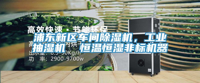 浦東新區車間榴莲视频官网APP，工業抽濕機  恒溫恒濕非標機器