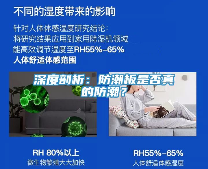 深度剖析：防潮板是否真的防潮？