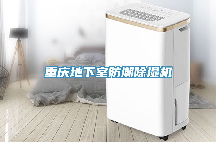 重慶地下室防潮榴莲视频官网APP