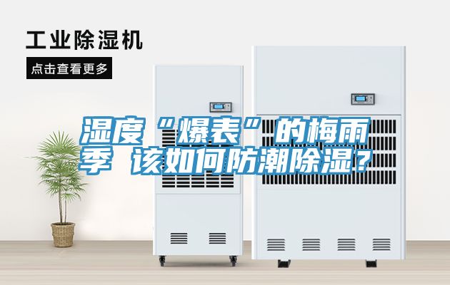濕度“爆表”的梅雨季 該如何防潮除濕？