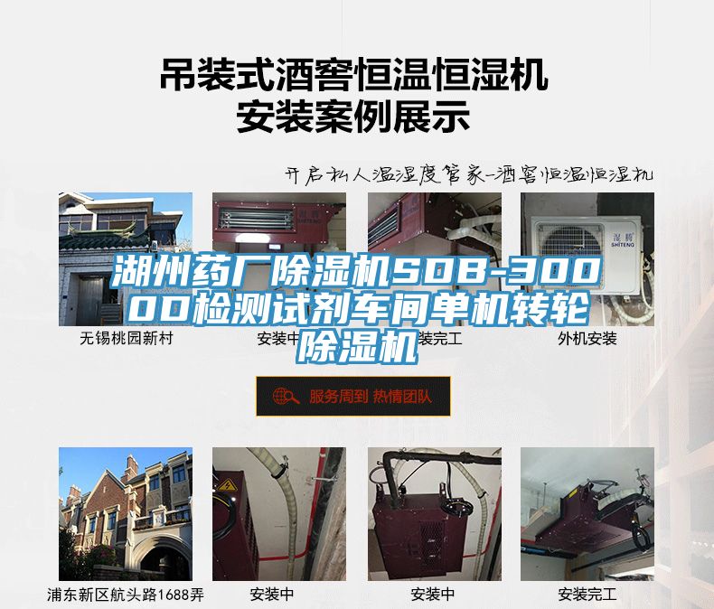 湖州藥廠榴莲视频官网APPSDB-3000D檢測試劑車間單機轉輪榴莲视频官网APP