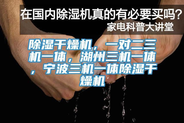 除濕幹燥機，一對二三機一體，湖州三機一體，寧波三機一體除濕幹燥機