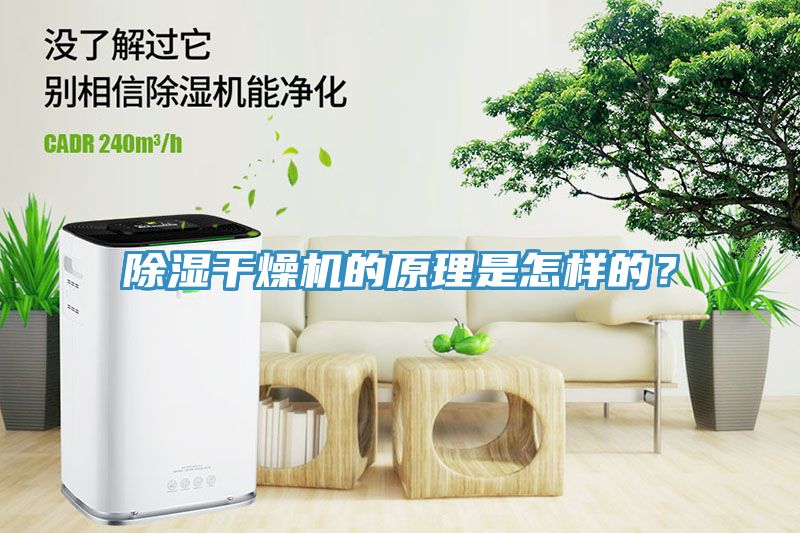 除濕幹燥機的原理是怎樣的？