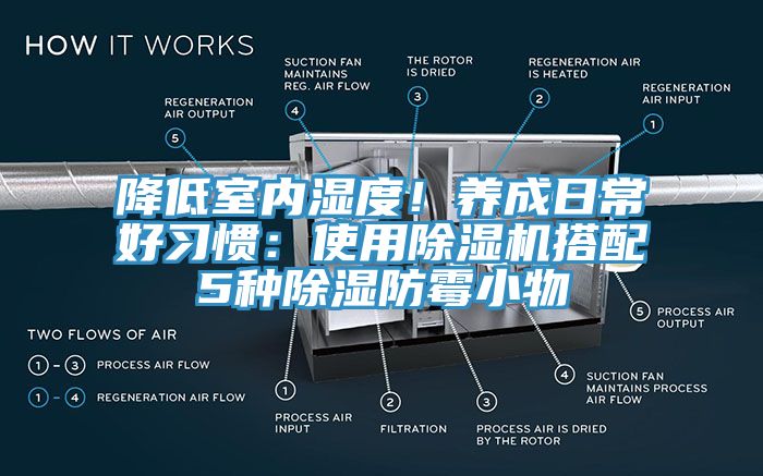 降低室內濕度！養成日常好習慣：使用榴莲视频官网APP搭配5種除濕防黴小物