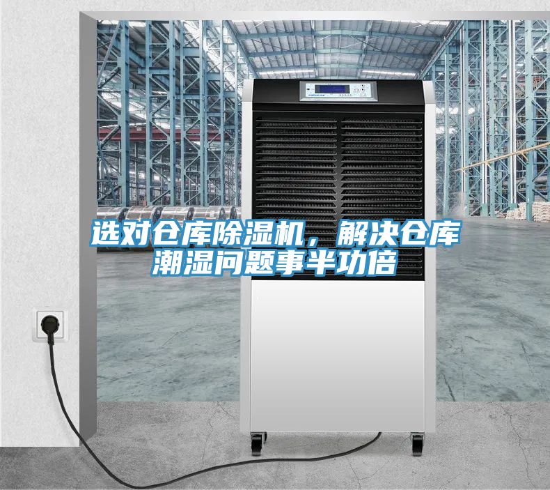 選對倉庫榴莲视频官网APP，解決倉庫潮濕問題事半功倍