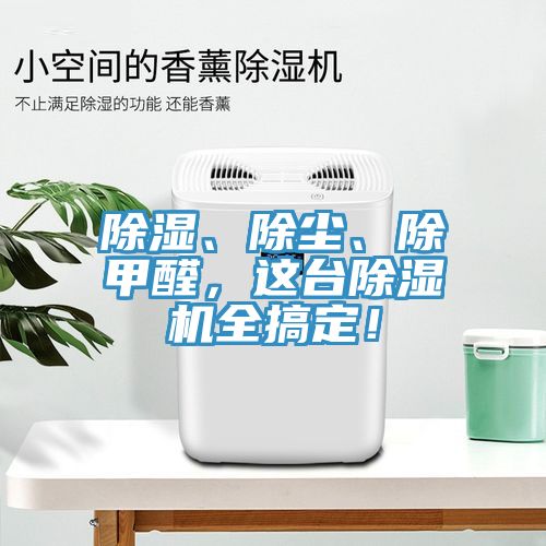 除濕、除塵、除甲醛，這台榴莲视频官网APP全搞定！