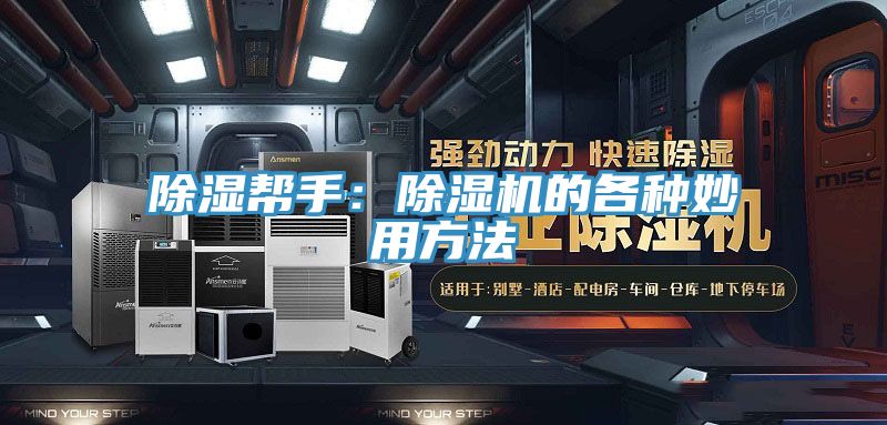 除濕幫手：榴莲视频官网APP的各種妙用方法